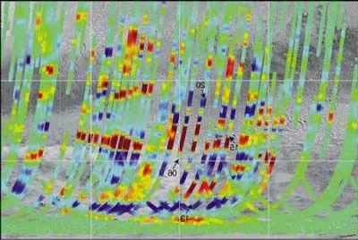 ANALIZA LUNII  Februarie 2004”POEZIE.RO”