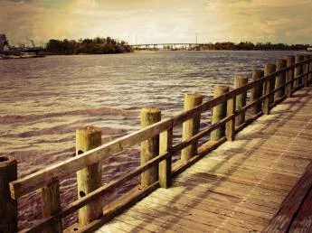 Entrevista con ... RADU HERINEAN