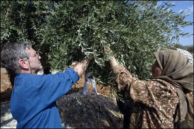 Israelí Amos Oz y palestino Sari Nusseibeh reciben premio Catalunya