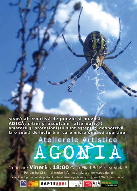 seară \"alternativă\" de poezie