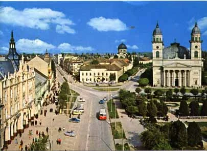 Poetul a îngerit din pleoape