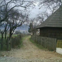 turcov andreea mihaela