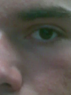 Sebastian L. Racean Delareea