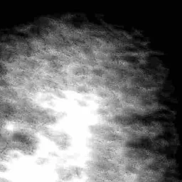 Stoica Nicolae Ciprian