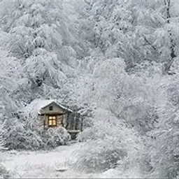 @taisia-mihaila-negru