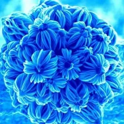 Popescu Balaban Ștefan