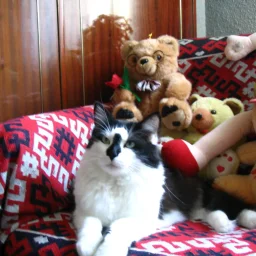 @ionut-marian-stoica