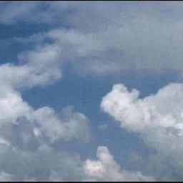 Maria Cristina Bijnea