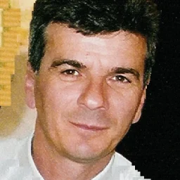 Ovidiu Radulescu