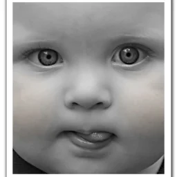 Stanescu Ionut Cristian