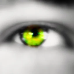 Monica Emilia Manasoiu