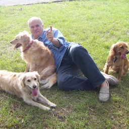 @ioan-mircea-popovici