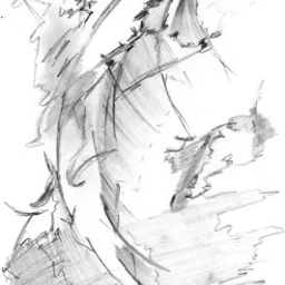 @oana-catalina-bucur