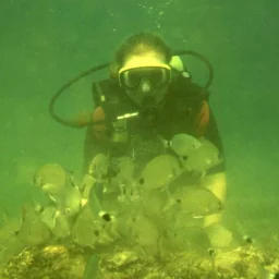 @rugescu-ioana-adina