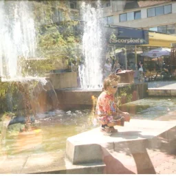 Stefan Doru Dancus jr.