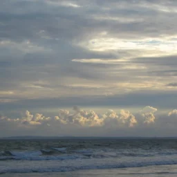 Berti Cristian-Vasile