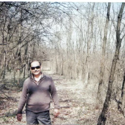 constantin cristescu