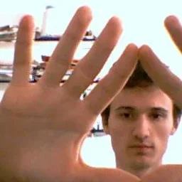 Andrei Lucian Dragoi