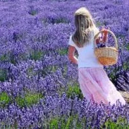 @rosculet-ioana-catalina