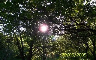 Munteanu Marcela Doina