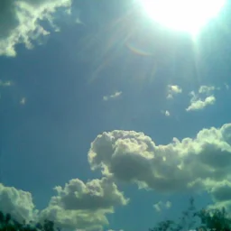 @gheorghe-madalina-0026688