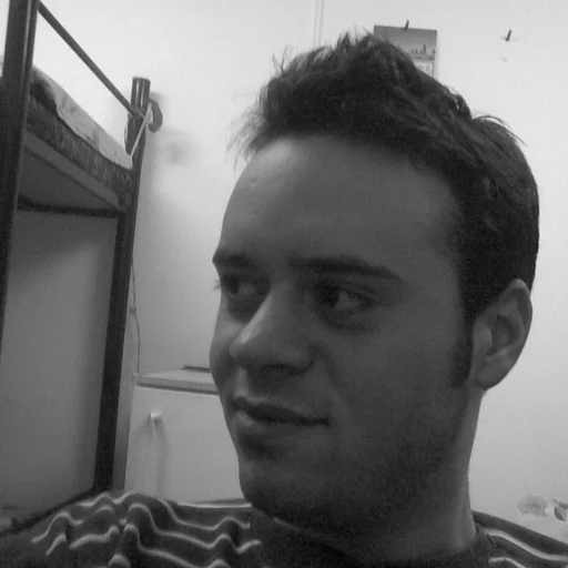 lesan alexandru daniel