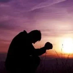 @porumb-darius-0028471