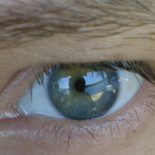 Bogdan - Alexandru Marin