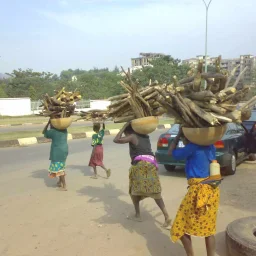 @rapcea-romulus-0029492