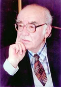 Ion Vatamanu