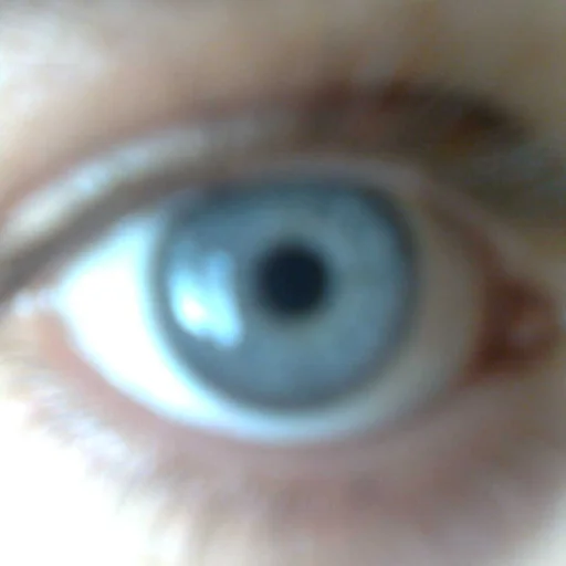 Ciulei Marian-Dănuț