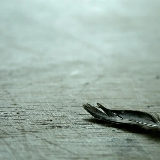 Cicu Ciprian Corneliu