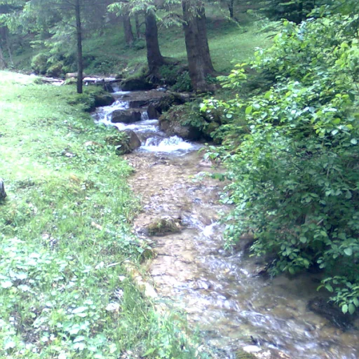 ENE MIHAELA VIRGINIA