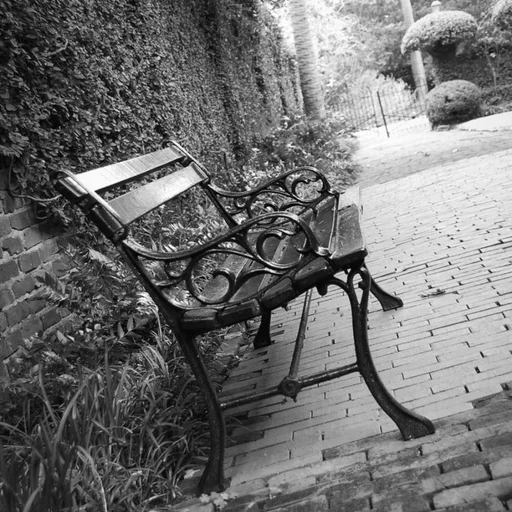 Viorica Iascerinschi