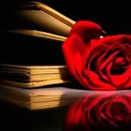 @mariana-aurelia-gunta