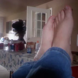 Ovidiu P. Sachelarie