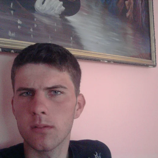 Ionut Daniel Budache