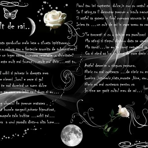 Bonte Petru Cristian