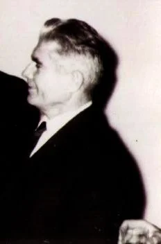 Nicolae Popescu-Meriș