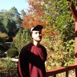 @state-virgiliu-andrei