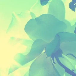 @gabi-schuster-cararusa