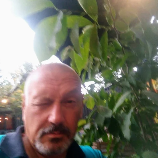 EDUARD Lupașcu