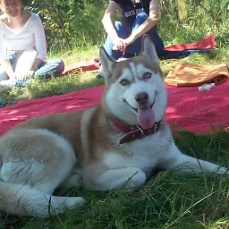 @antemir-antonio-eduard