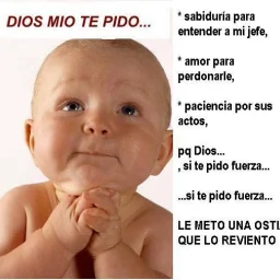 @chirescu-manuela-catalina