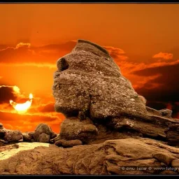 @razvan-andrei-antonescu-rogoz