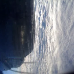 Scripcariu Elisabeta