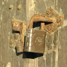 @vinyl-cristina-ispas