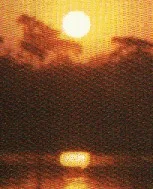 @ratacitorul-albastru