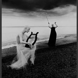 Alexandru D. Ropalidis