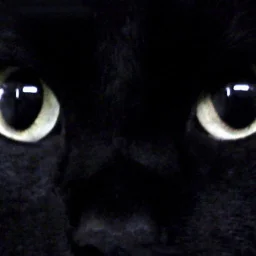 @simona-marcu-0009088